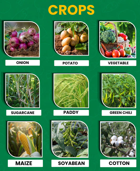 Hyzinc Zinc Sulphate (Zn 21% + S 10%) | Water Soluble Micronutrient Fertilizer
