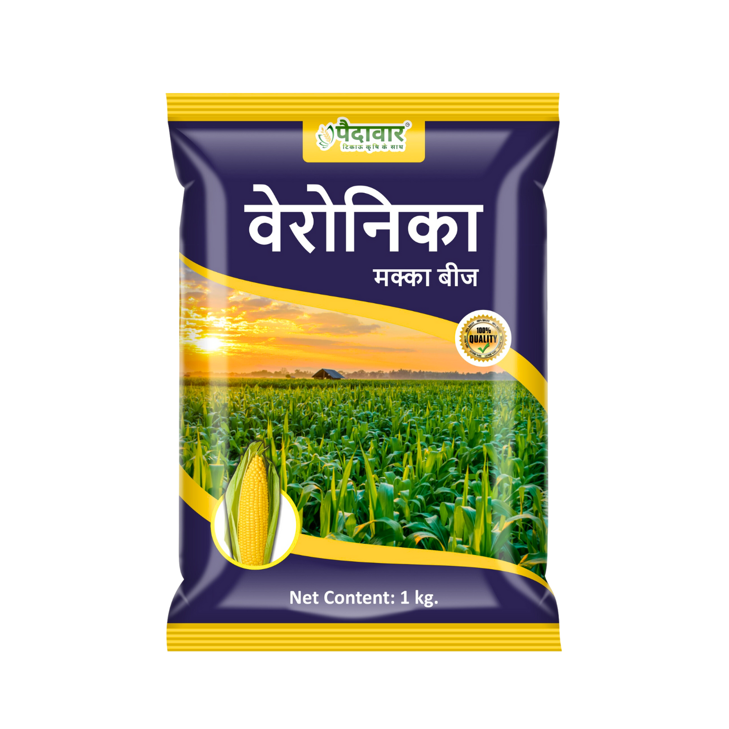 मक्का बीज