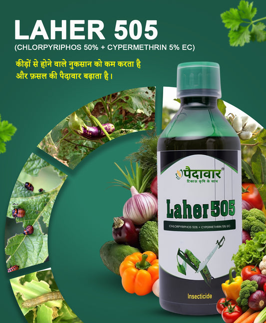 BAHAAR(बहार)