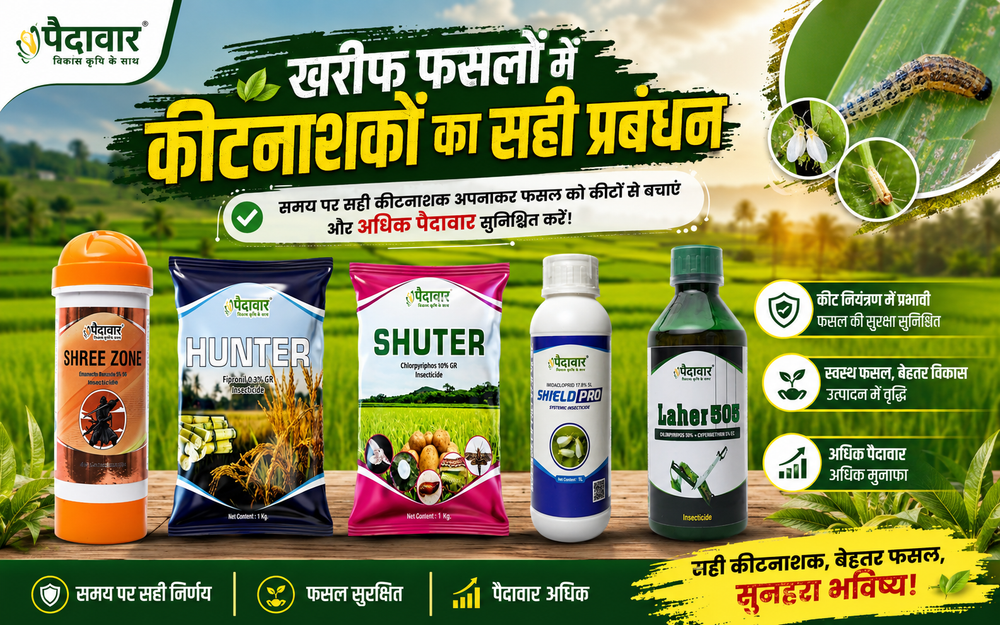 Best Insecticide for Paddy Crop in India 2026 — Complete Farmer's Guide