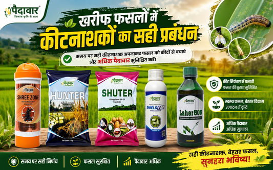 Best Insecticide for Paddy Crop in India 2026 — Complete Farmer's Guide