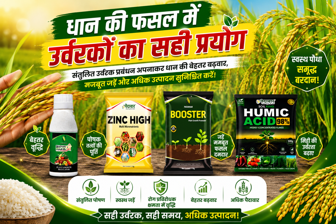 Kharif Season 2026: Simple Tips to Grow Healthy Crops and Stop Diseases