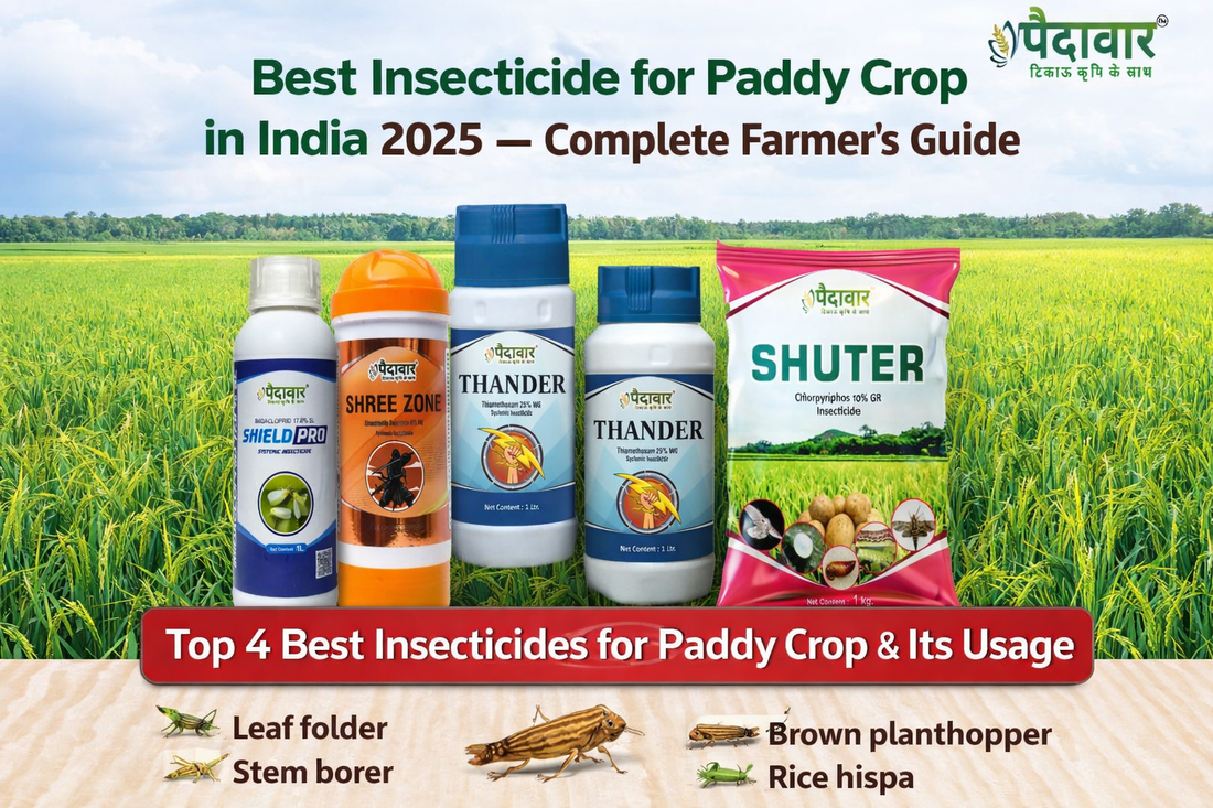 Best Insecticide for Paddy Crop in India 2025 — Complete Farmer's Guide