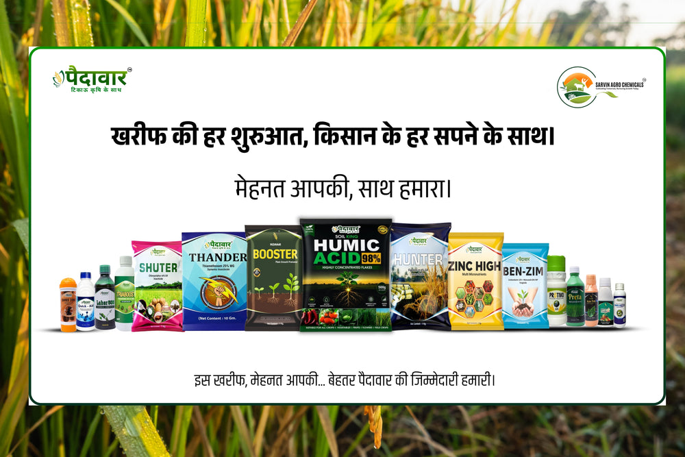 Kharif Season 2026: Simple Tips to Grow Healthy Crops and Stop Diseases