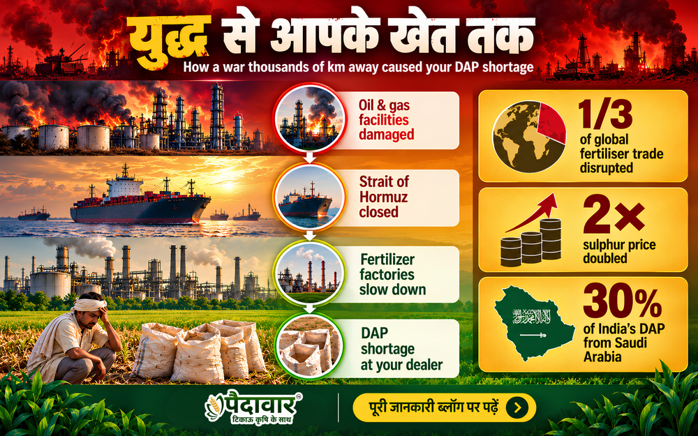 Why DAP Is Short in India 2026: The War Behind Your Fertilizer Bill