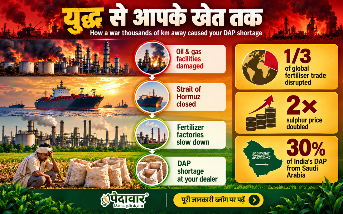 Why DAP Is Short in India 2026: The War Behind Your Fertilizer Bill