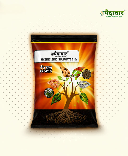 Hyzinc Zinc Sulphate (Zn 21% + S 10%) | Water Soluble Micronutrient Fertilizer
