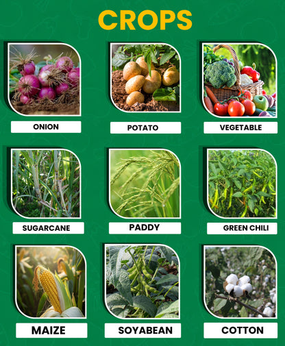 Hyzinc Zinc Sulphate (Zn 21% + S 10%) – Water Soluble Micronutrient Fertilizer