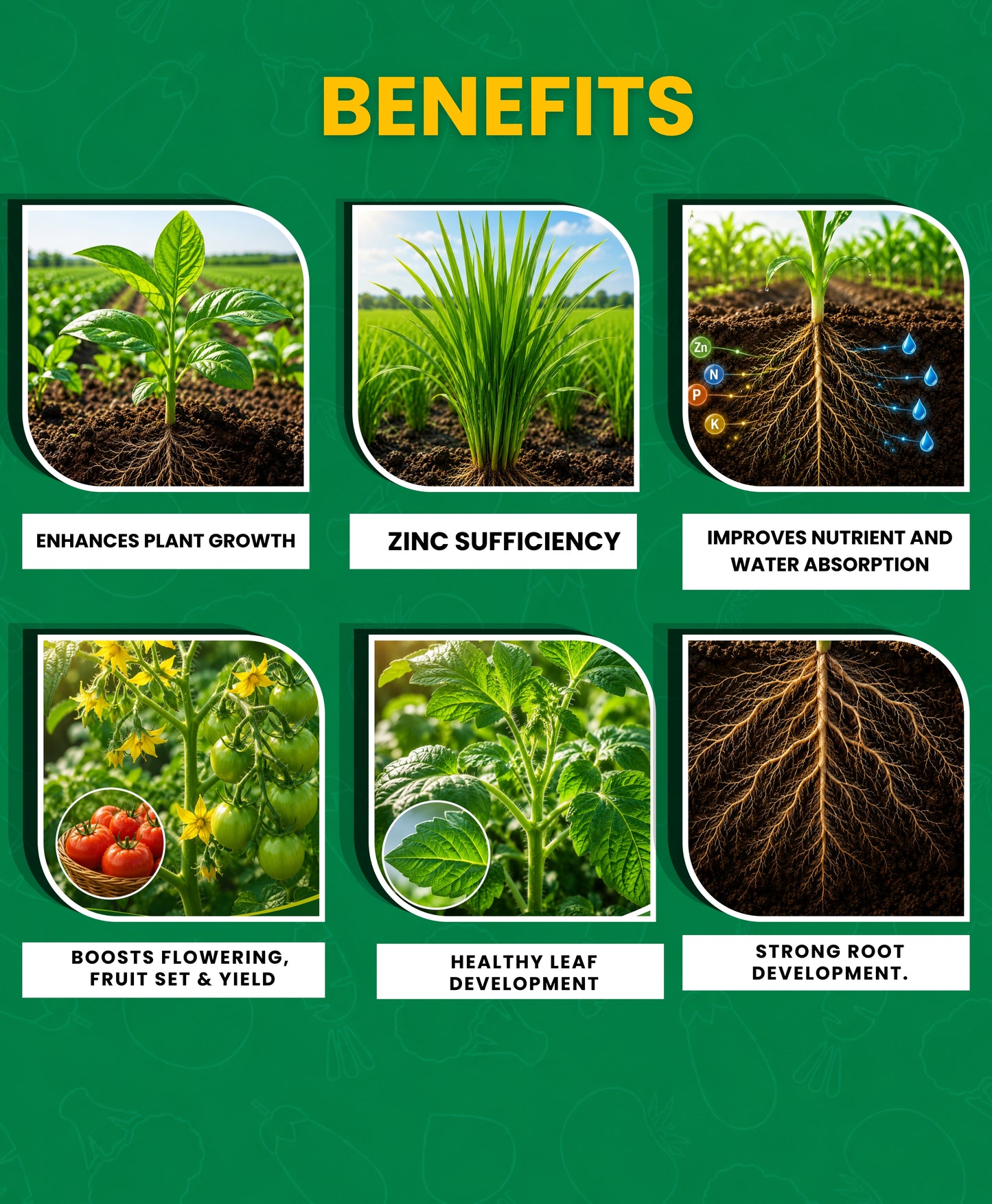 Hyzinc Zinc Sulphate (Zn 21% + S 10%) – Water Soluble Micronutrient Fertilizer