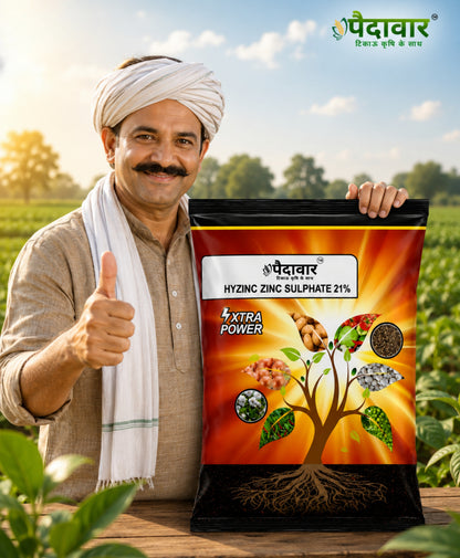 Hyzinc Zinc Sulphate (Zn 21% + S 10%) | Water Soluble Micronutrient Fertilizer