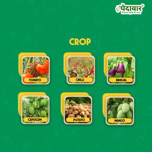 यूपीएजे-98 (पोटेशियम एफ ह्यूमेट 98% फ्लेक्स)