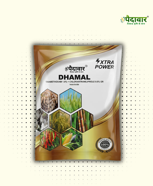 DHAMAL (Thiamethoxam 1.0% + Chlorantraniliprole 0.5% GR)