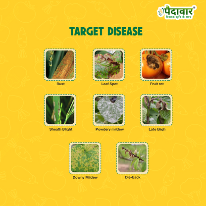 एज़ो-टेब (एज़ोक्सीस्ट्रोबिन 11% +टेबुकोनाज़ोल 18.3% एससी)