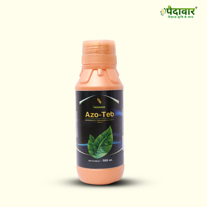 AZO-TEB (AZOXYSTROBIN 11% +TEBUCONAZOLE 18.3% SC)