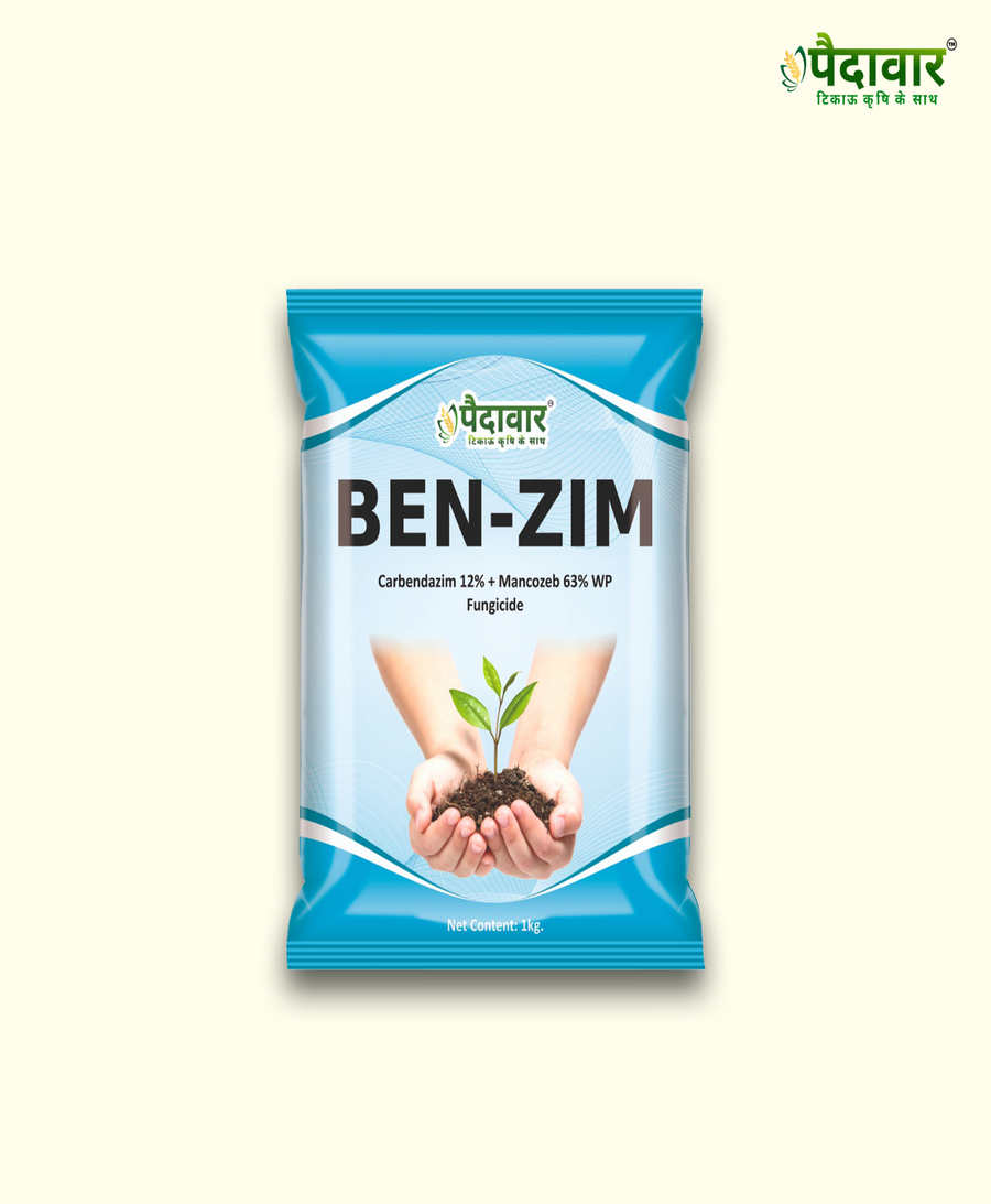 BEN-ZIM (Carbendazim 12%+ Mancozeb 63% WP)