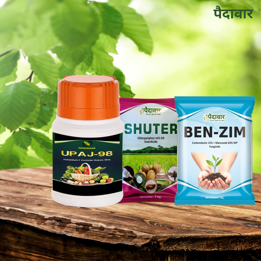 Three agricultural products on a wooden surface with green leaves in the background