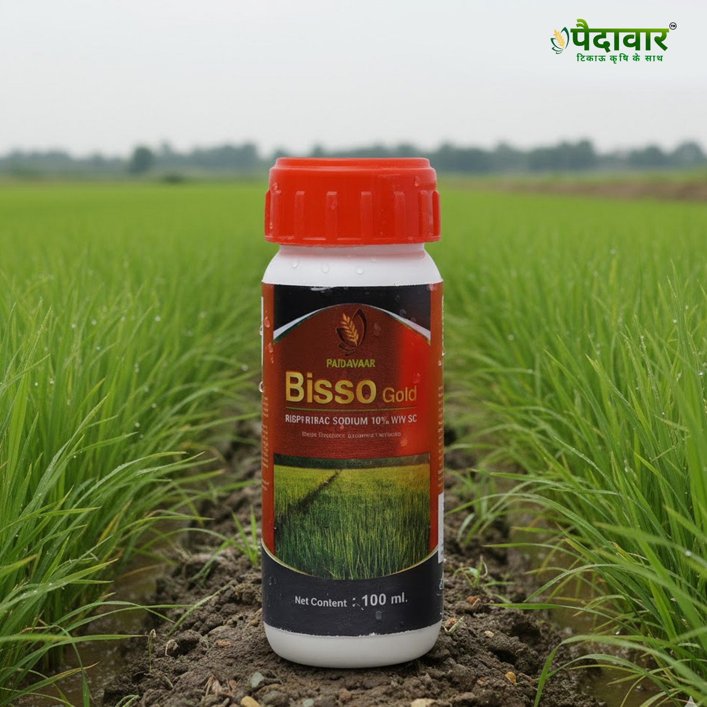 বিসো গোল্ড-(বিসপিরিব্যাক সোডিয়াম ১০% ডব্লিউ/ভি এসসি)