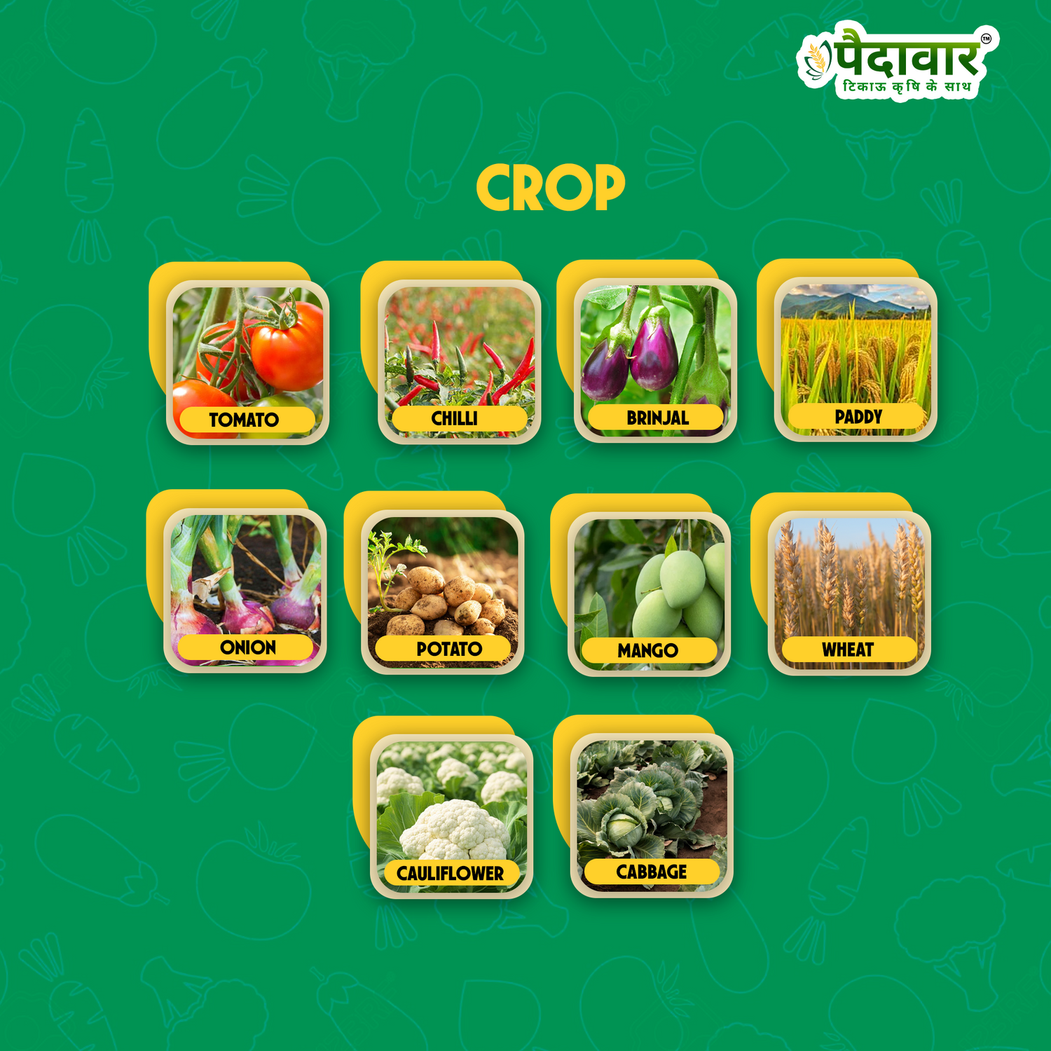 BOOSTER-(PLANT GROWTH PROMOTER)