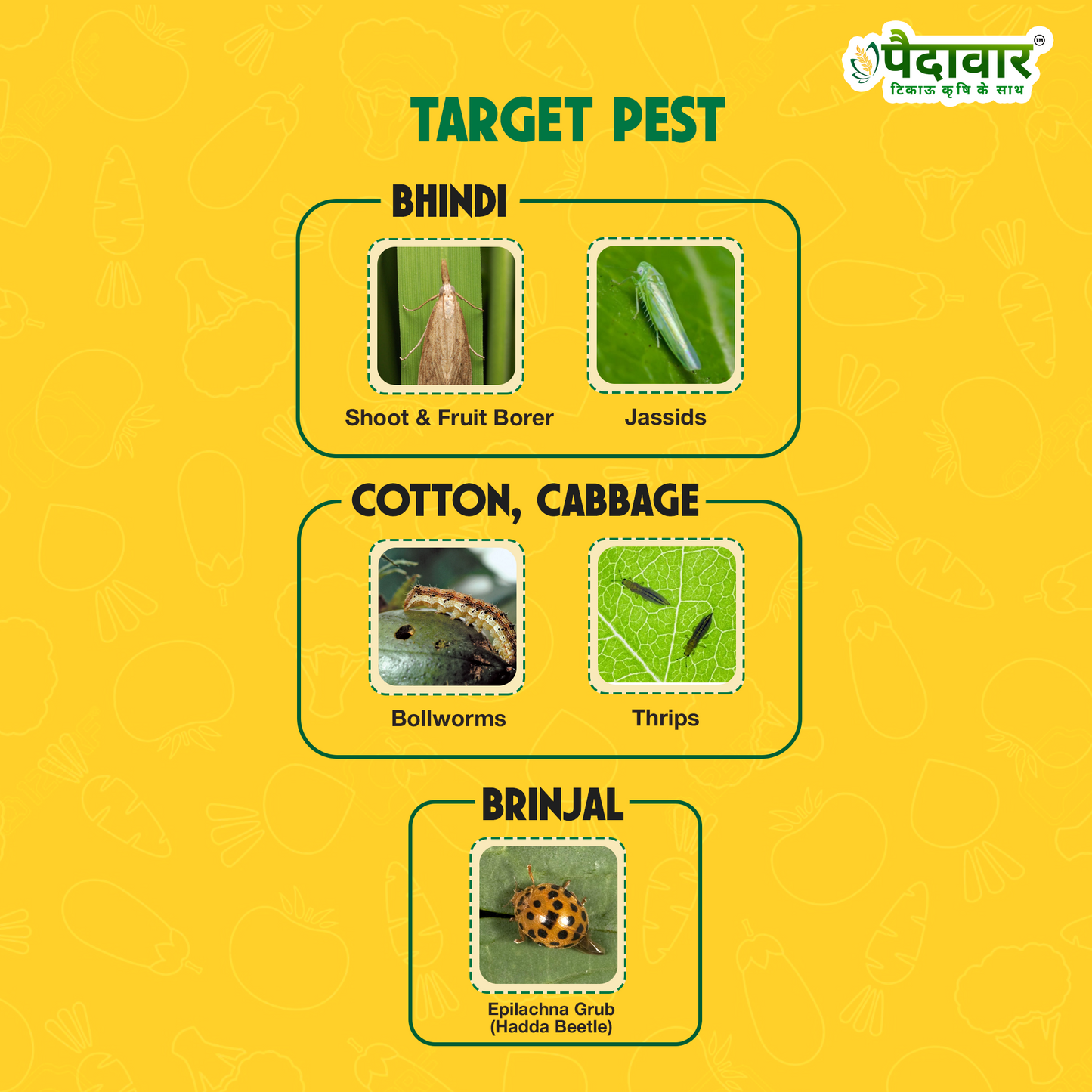 साइपर 25-(साइपरमेथ्रिन 25% ईसी)