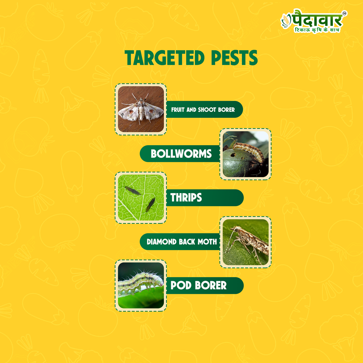 श्री ज़ोन - (इमामेक्टिन बेंजोएट 5% एसजी)