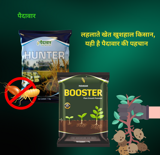 Hunter + Booster