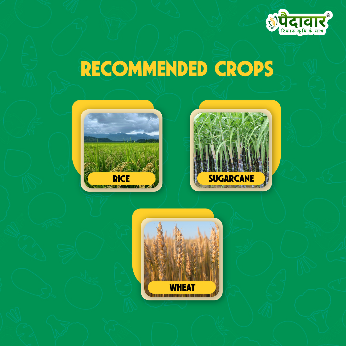 हंटर (फिप्रोनिल 0.3% जीआर)