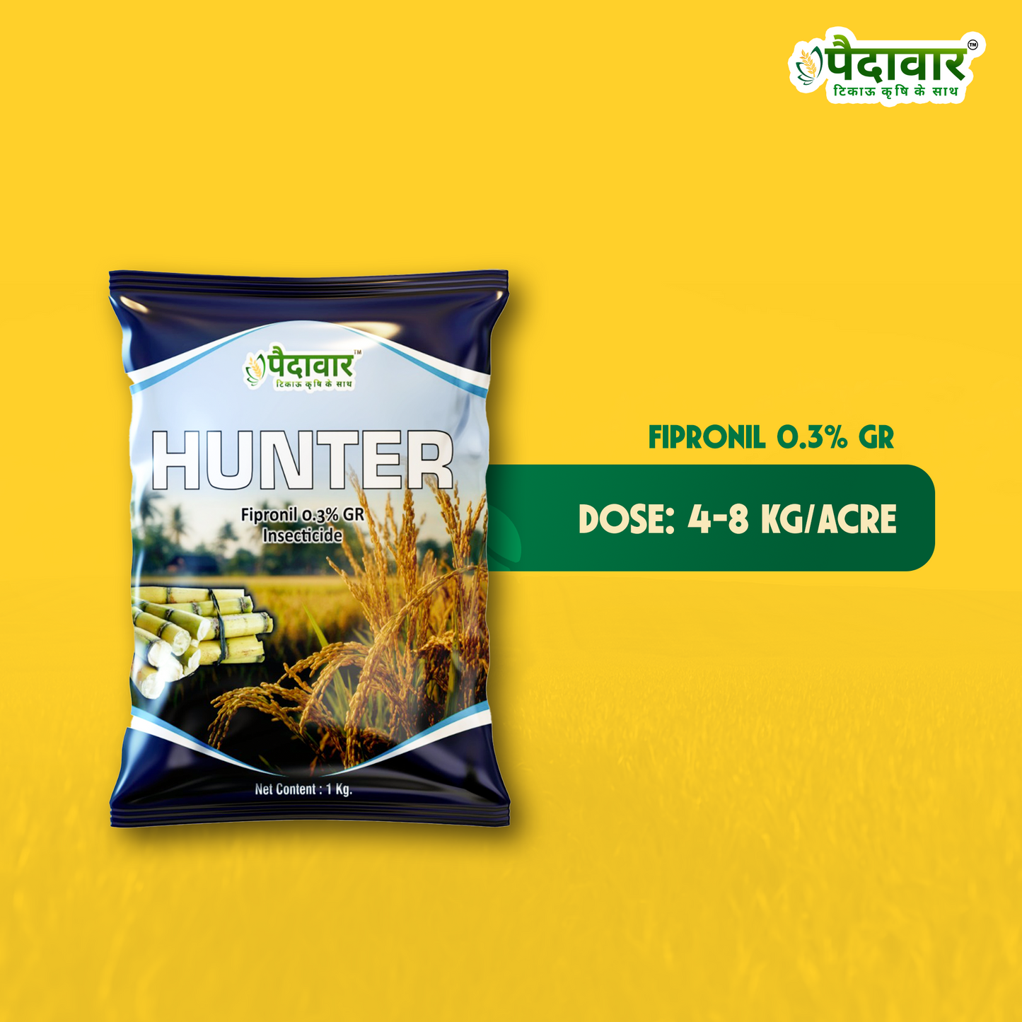 हंटर (फिप्रोनिल 0.3% जीआर)