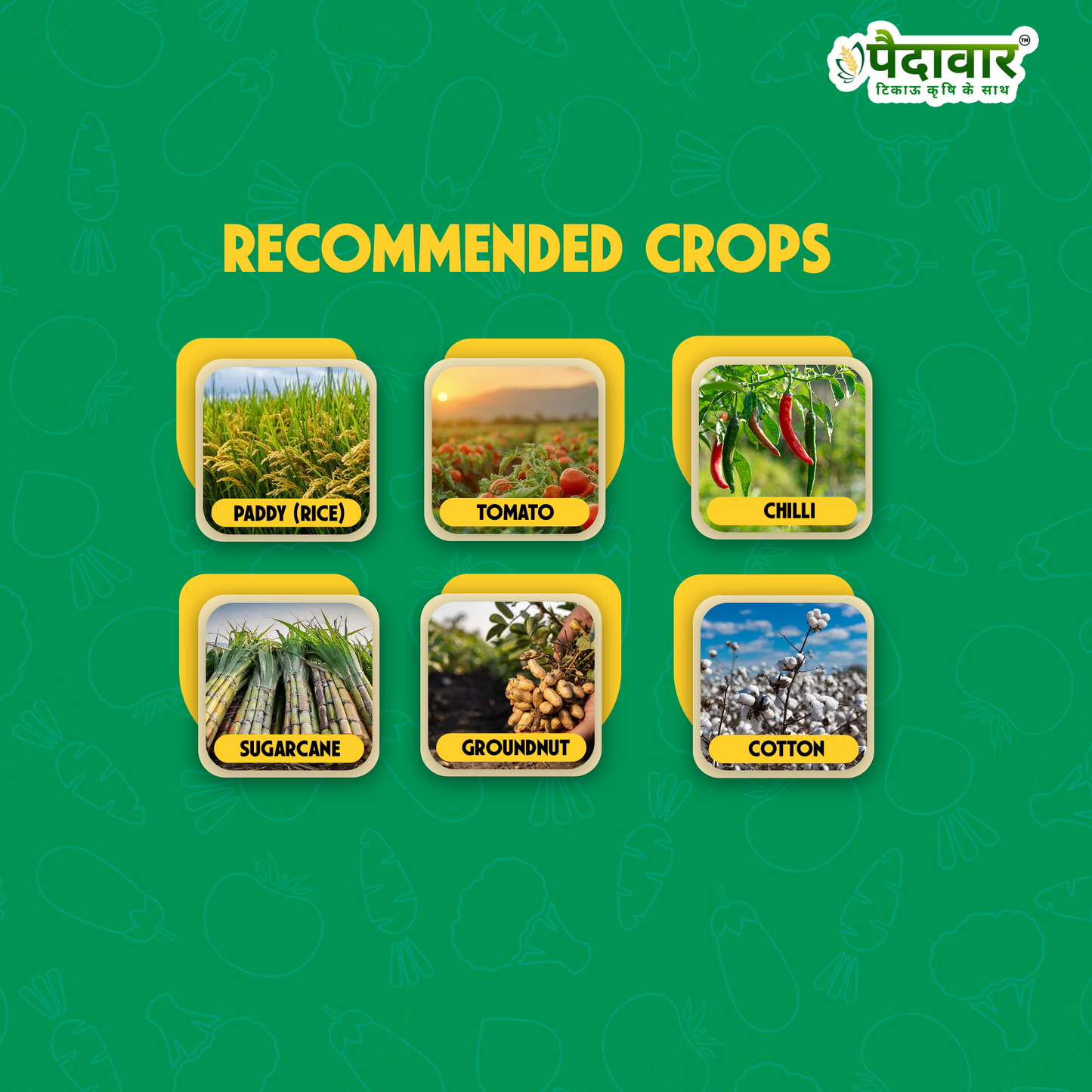 Mida-30 (Imidacloprid 30.5% SC) Insecticide