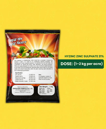 Hyzinc Zinc Sulphate (Zn 21% + S 10%) – Water Soluble Micronutrient Fertilizer