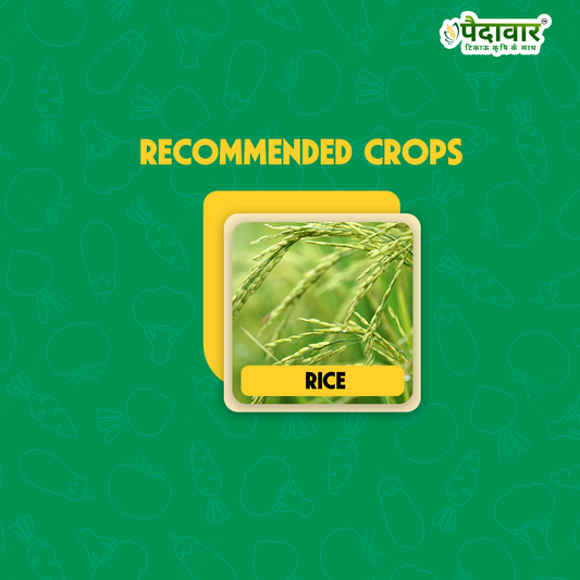 PRETA-(PRETILACHLOR 50%EC)