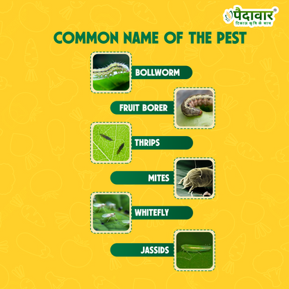 सैट - 404-(प्रोफेनोफोस 40% + साइपरमेथ्रिन 4% ईसी)