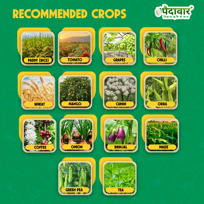 Paidavaar Protivo | Tebuconazole 50% + Trifloxystrobin 25% WG |