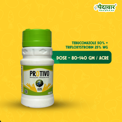 Paidavaar Protivo | Tebuconazole 50% + Trifloxystrobin 25% WG |