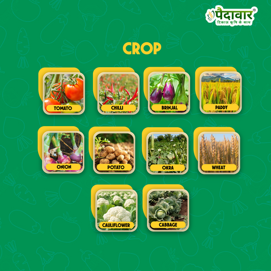 PUSHP SHREE-(BROAD SPECTRUM BIO-BASED PLANT GROWTH)