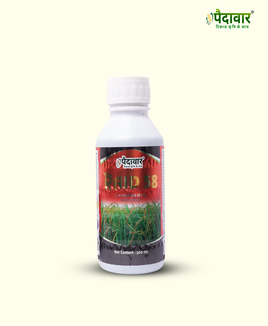 RAID 58-(2,4-D AMINE SALT 58% SL)