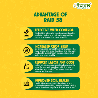 RAID 58-(2,4-D AMINE SALT 58% SL)