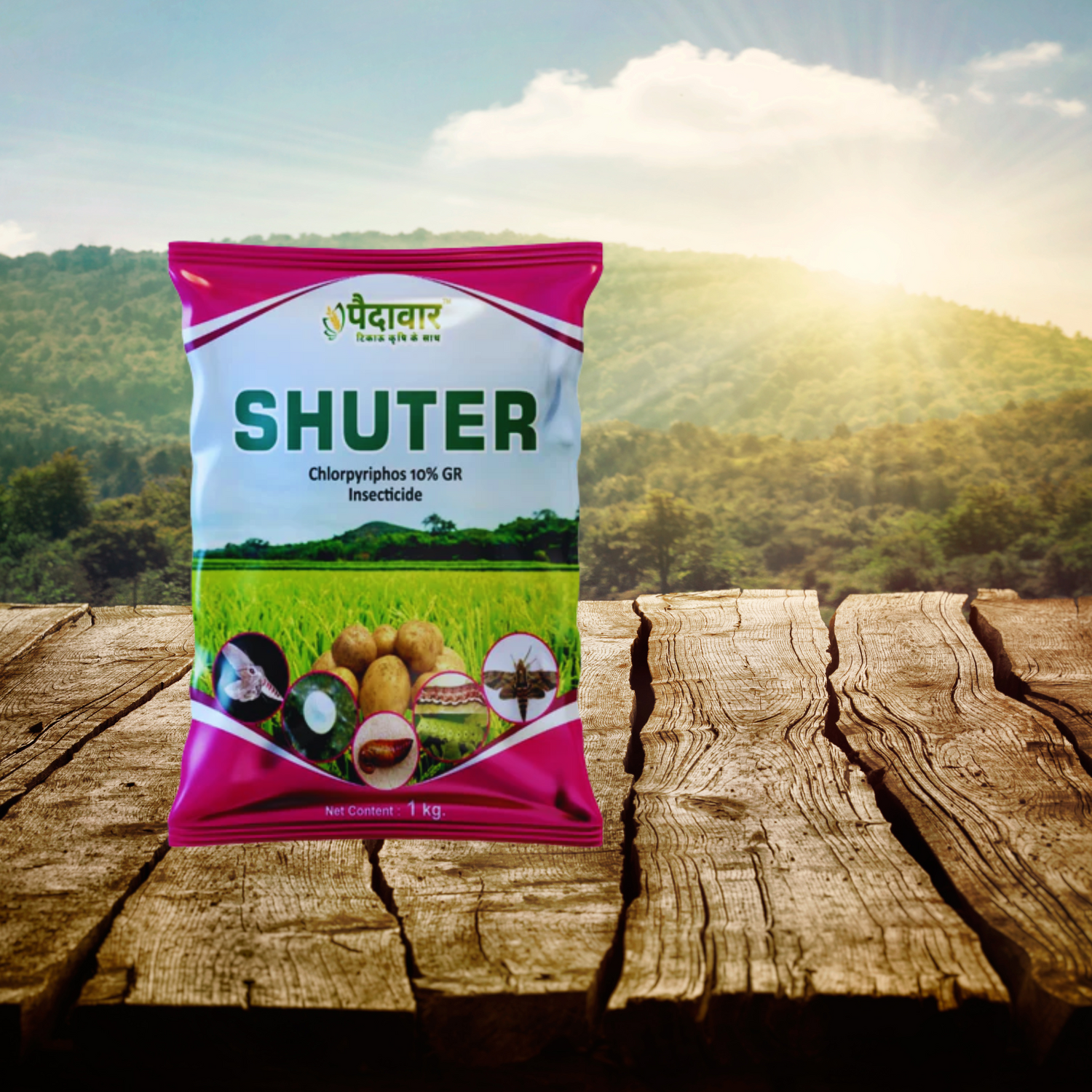 SHUTER (Chlorpyriphos10% GR)