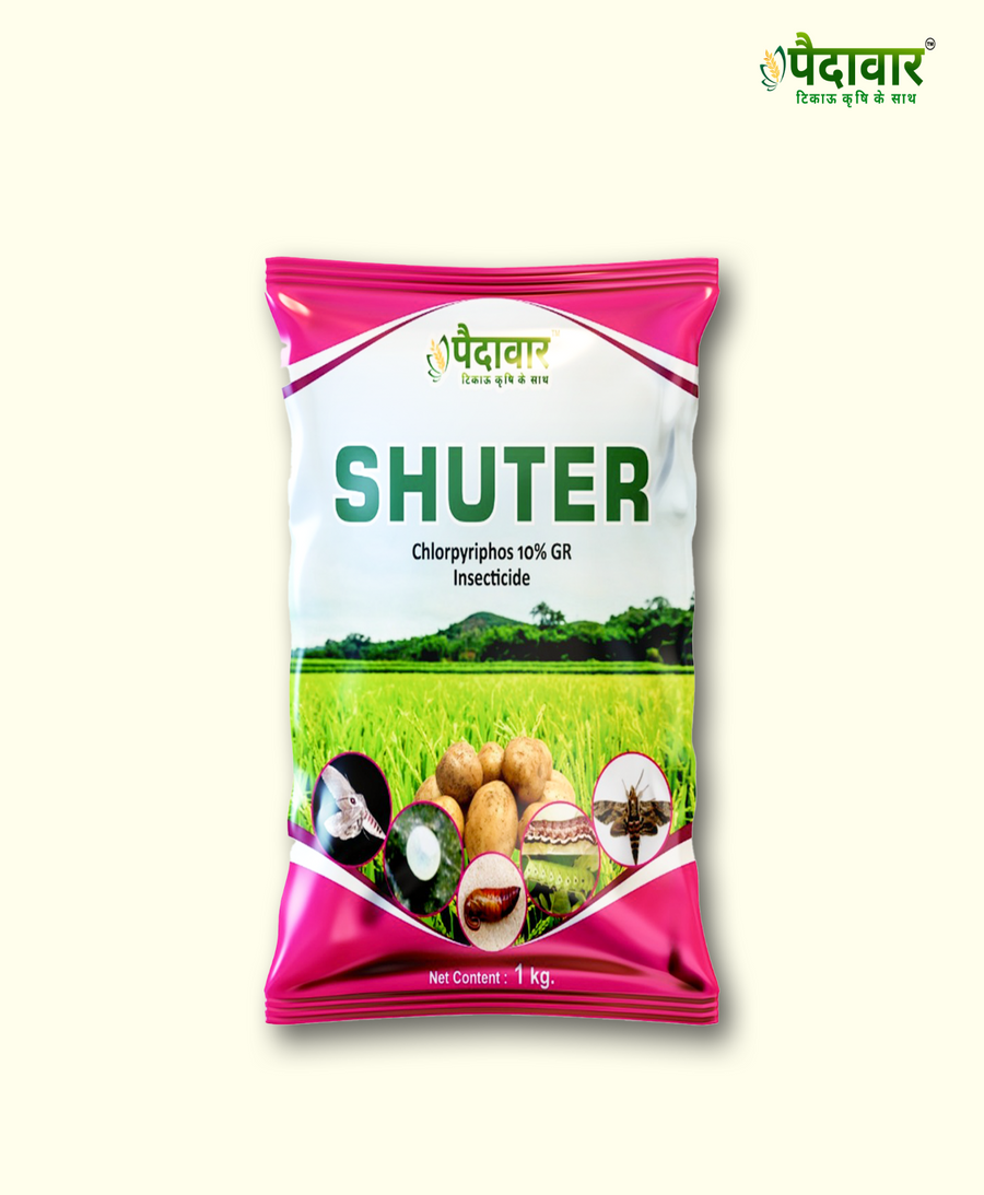 SHUTER (Chlorpyriphos 10% GR)