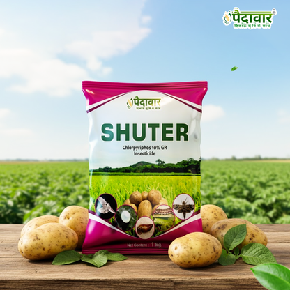 शटर (क्लोरपाइरीफॉस 10% जीआर)