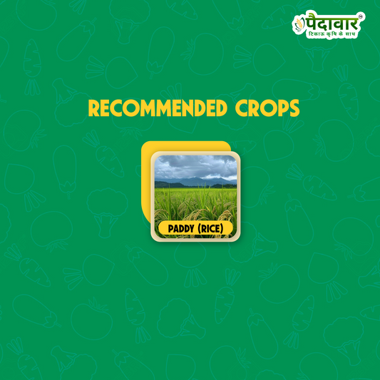 స్టారెక్సా (హెక్సాకోనజోల్ 5% + వాలిడామైసిన్ 2.5% ఎస్‌సి)