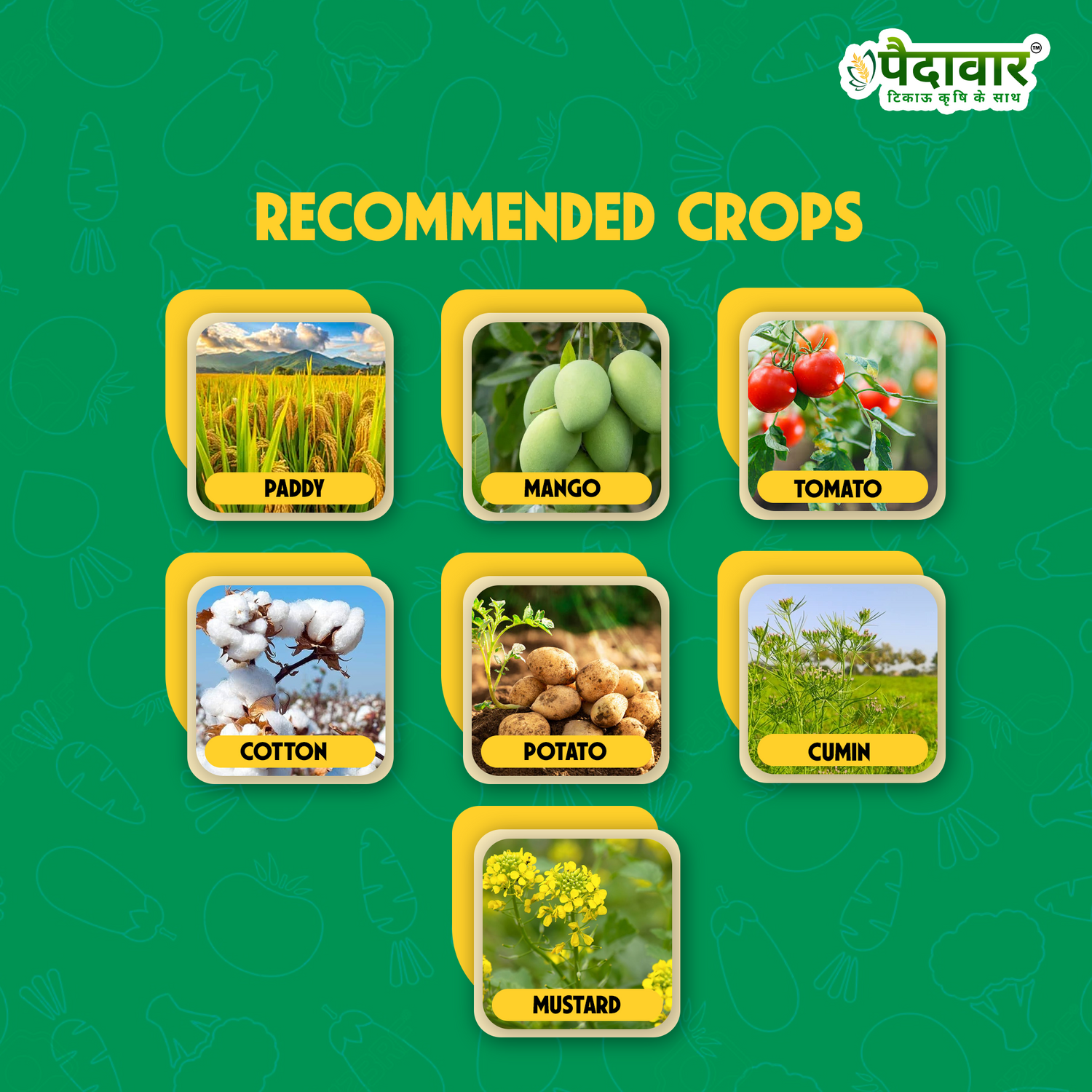 THANDER (Thiamethoxam 25% WG)