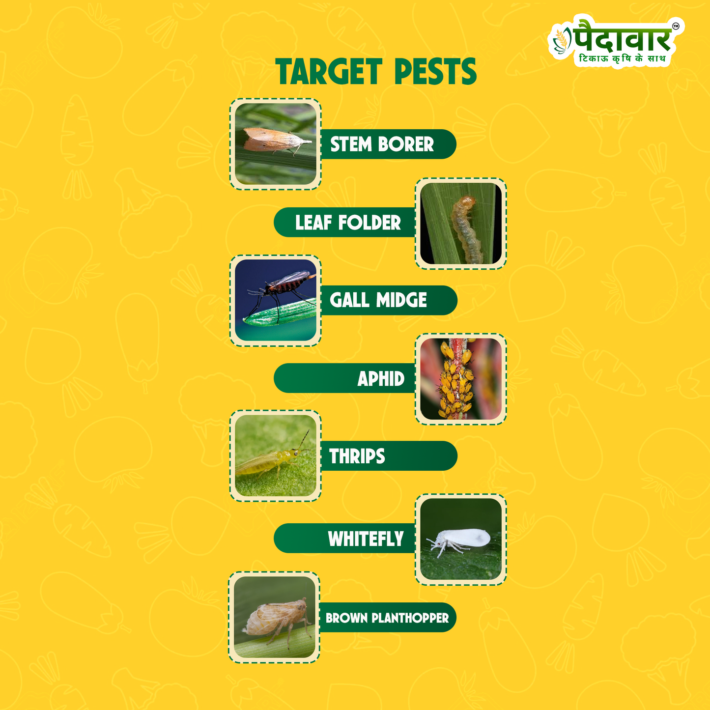 थांडर (थियामेथोक्सम 25% डब्ल्यूजी)