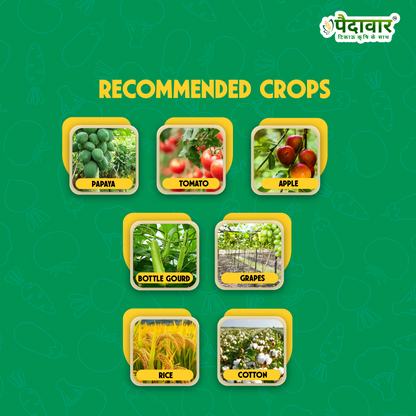 Paidavaar ThioGuard | Thiophanate Methyl 70% WP | Chemical Fungicide