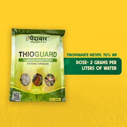 Paidavaar ThioGuard | Thiophanate Methyl 70% WP | Chemical Fungicide