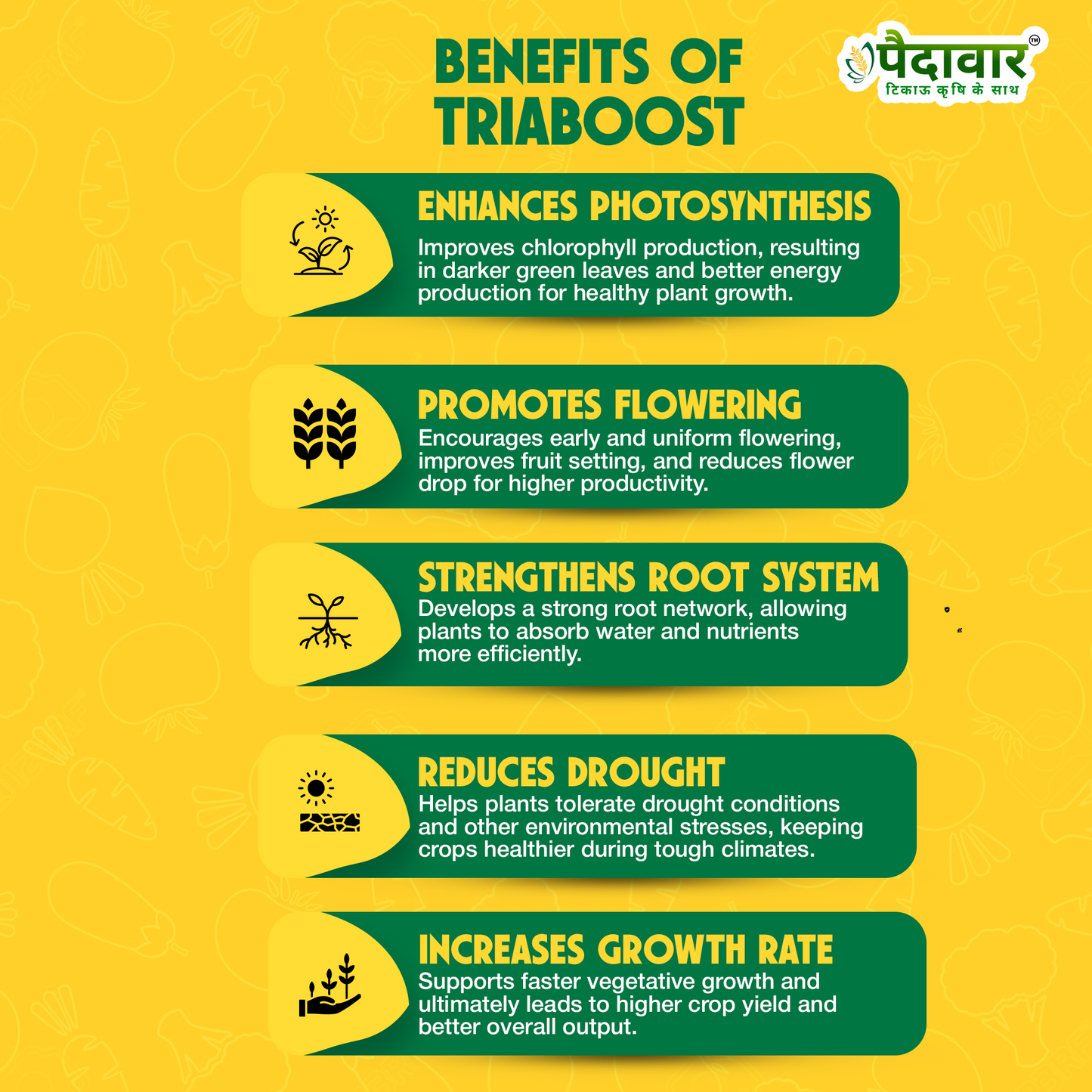 Paidavaar Triaboost | Triacontanol 0.1% EW Plant Growth Regulator