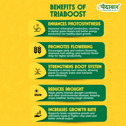 Paidavaar Triaboost | Triacontanol 0.1% EW Plant Growth Regulator