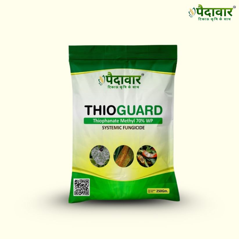 Paidavaar ThioGuard | Thiophanate Methyl 70% WP | Chemical Fungicide