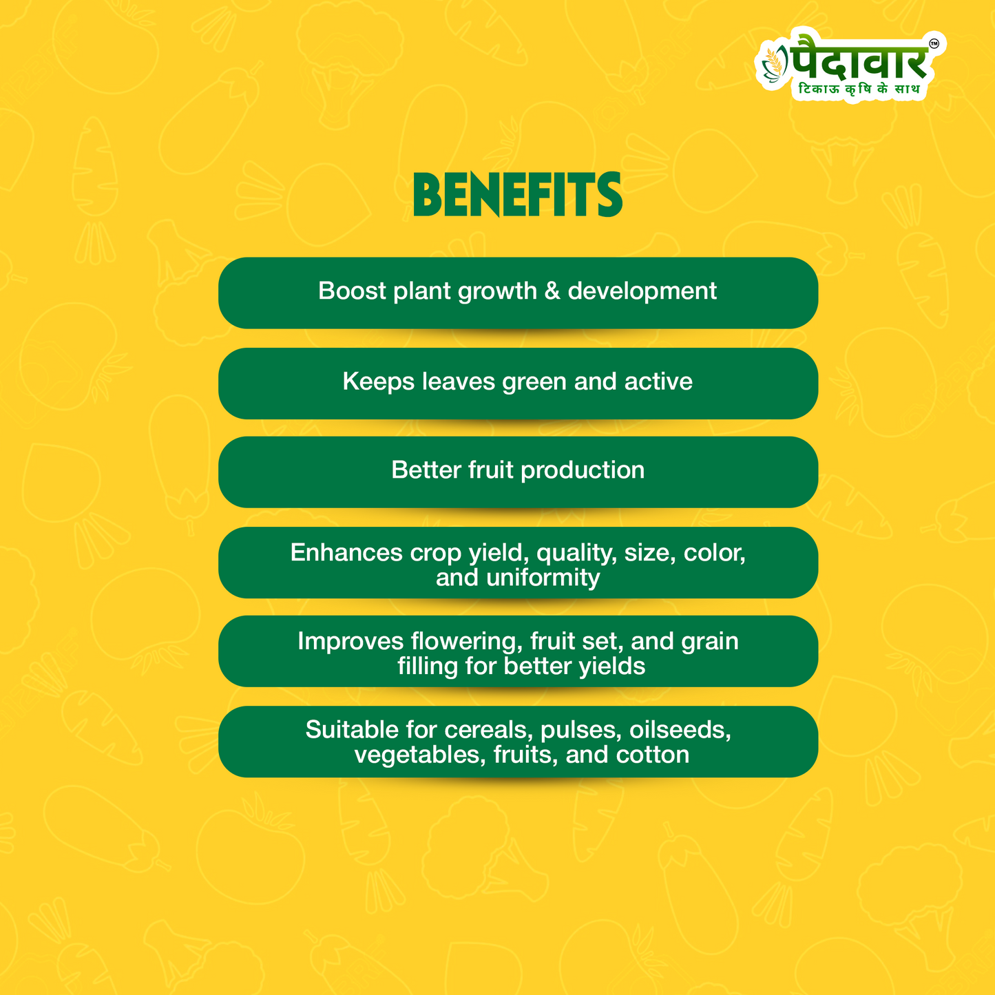 Paidavaar Zinc Sulphate 33% | Monohydrate Micro Nutrients