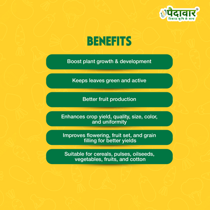 Paidavaar Zinc Sulphate 33% | Monohydrate Micro Nutrients