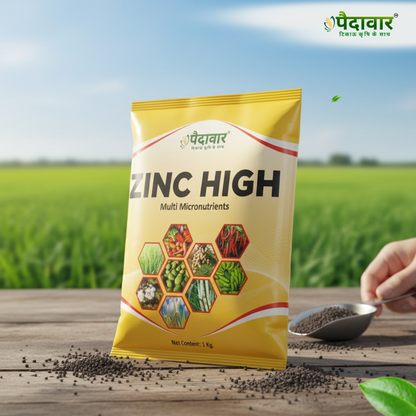 जिंक उच्च